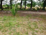 Terrain à bâtir à Gauriaguet (33240) 2129961-11015annonce120250411NeItf.jpeg Maisons France Confort