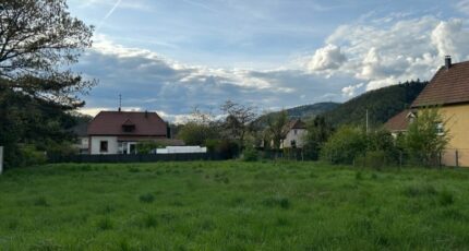 Thann Maison neuve - 2140149-11139annonce120250424znkF4.jpeg Maisons France Confort