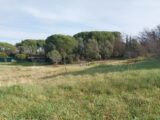 Maison à construire à Roquebrune-sur-Argens (83520) 2140508-11157annonce220250117hlB4g.jpeg Maisons France Confort