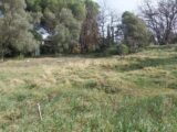 Maison à construire à Roquebrune-sur-Argens (83520) 2140508-11157annonce320250117ObTr4.jpeg Maisons France Confort