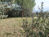 Maison à construire à Roquebrune-sur-Argens (83520) 2140527-11157annonce120250117KuBNh.jpeg Maisons France Confort