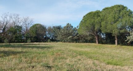 Roquebrune-sur-Argens Maison neuve - 2140527-11157annonce520250117tRkro.jpeg Maisons France Confort