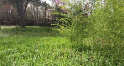Puget-sur-Argens Maison neuve - 2140534-11157annonce1202502207FM7L.jpeg Maisons France Confort