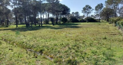 Puget-sur-Argens Maison neuve - 2140534-11157annonce2202502201AbRi.jpeg Maisons France Confort