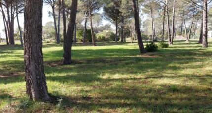 Puget-sur-Argens Maison neuve - 2140534-11157annonce520250220UwSQz.jpeg Maisons France Confort