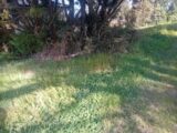 Terrain à bâtir à Mios (33380) 2140892-11244annonce220250425oTPni.jpeg Maisons France Confort