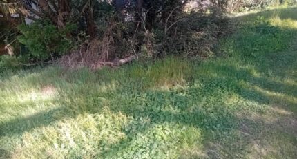 Mios Terrain à bâtir - 2140892-11244annonce220250425oTPni.jpeg Maisons France Confort