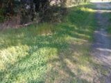 Terrain à bâtir à Mios (33380) 2140892-11244annonce320250425cZxMq.jpeg Maisons France Confort