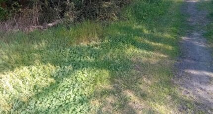 Mios Terrain à bâtir - 2140892-11244annonce320250425cZxMq.jpeg Maisons France Confort