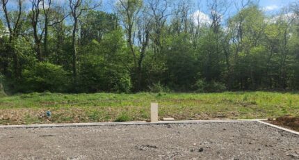 Issenheim Terrain à bâtir - 2089243-6989annonce120250225TpGZC.jpeg Maisons France Confort