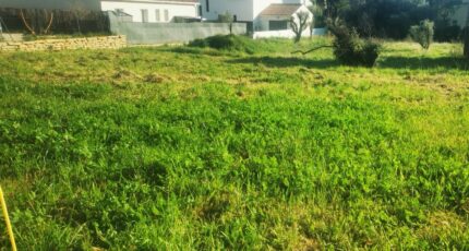 Aubagne Terrain à bâtir - 2106951-10271annonce120250314XdzNI.jpeg Maisons France Confort