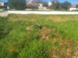 Terrain à bâtir à Aubagne (13400) 2106450-10271annonce1202503141mKzL.jpeg Maisons France Confort