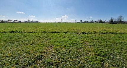 Beuzeville-la-Grenier Terrain à bâtir - 2141369-11180annonce120250425RJTTR.jpeg Maisons France Confort