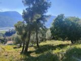 Terrain à bâtir à Saint-Martin-du-Var (06670) 2088711-3059annonce120250224GZXxS.jpeg Maisons France Confort