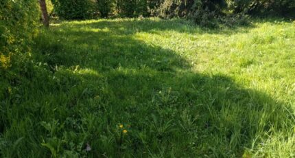 Bois-le-Roi Maison neuve - 2141469-10730annonce420250425S6Wee.jpeg Maisons France Confort