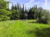 Maison à construire à Tourrette-Levens (06690) 2141552-3059annonce120250425ctJ0V.jpeg Maisons France Confort