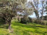 Terrain à bâtir à La Cadière-d’Azur (83740) 2142155-11077annonce120250426hwFhU.jpeg Maisons France Confort