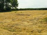 Maison à construire à Breteuil (27160) 2142217-11218annonce120250426NWEop.jpeg Maisons France Confort