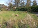 Terrain à bâtir à Biganos (33380) 2142257-1072annonce120250426RfLkQ.jpeg Maisons France Confort