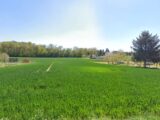 Terrain à bâtir à Varennes (24150) 2106967-7107annonce12025031453uW8.jpeg Maisons France Confort