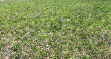 Carlux Maison neuve - 2129095-11160annonce220250410fwMSH.jpeg Maisons France Confort