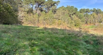 Sourzac Maison neuve - 2098186-11104annonce120250306B9ZHJ.jpeg Maisons France Confort