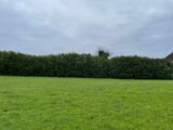 Maison à construire à Châteauroux (36000) 2142450-10775annonce1202503319LTq4.jpeg Maisons France Confort