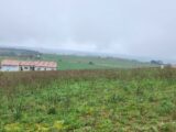 Maison à construire à Lautrec (81440) 2116623-11178annonce120250325KChNB.jpeg Maisons France Confort