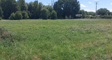 Saint-Julien-sur-Garonne Maison neuve - 2141392-10326annonce220250425PG9KC.jpeg Maisons France Confort