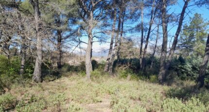 Plan-d'Aups-Sainte-Baume Maison neuve - 2142640-11238annonce120250428CNgVN.jpeg Maisons France Confort