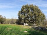 Maison à construire à Issus (31450) 2141621-10568annonce120250425viF3C.jpeg Maisons France Confort