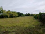 Terrain à bâtir à Tocane-Saint-Apre (24350) 2099891-9455annonce120250308TI0DZ.jpeg Maisons France Confort