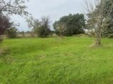 Maison à construire à Beaumont-la-Ronce (37360) 2139313-11068annonce120250424PNN9D.jpeg Maisons France Confort