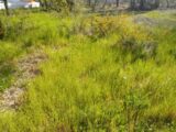 Terrain à bâtir à Biganos (33380) 2142914-11244annonce120250428B5q4b.jpeg Maisons France Confort