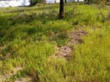 Terrain à bâtir à Biganos (33380) 2142914-11244annonce220250428hH3Z8.jpeg Maisons France Confort