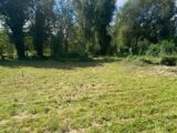 Maison à construire à Colmar (68000) 2142469-11003annonce120250428OXgTt.jpeg Maisons France Confort
