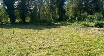 Colmar Maison neuve - 2142469-11003annonce120250428OXgTt.jpeg Maisons France Confort