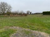 Terrain à bâtir à Champagne (17620) 2143334-11194annonce1202504290ELSF.jpeg Maisons France Confort