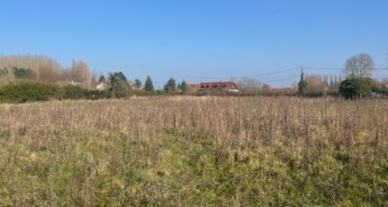 Quend Terrain à bâtir - 2086707-5042annonce120250221yo8KD.jpeg Maisons France Confort