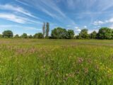 Terrain à bâtir à Villiers-au-Bouin (37330) 2090054-10042annonce120250225fq2vq.jpeg Maisons France Confort
