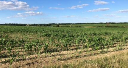 Neuville-sur-Brenne Maison neuve - 2118139-10042annonce1202503260tr8T.jpeg Maisons France Confort