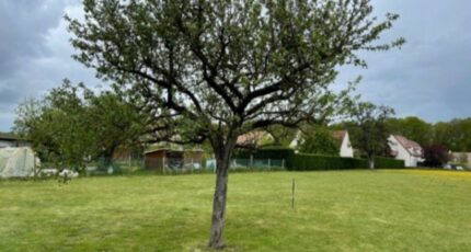 Saint-Cyr-sous-Dourdan Terrain à bâtir - 2054791-10885annonce120250117bkboQ.jpeg Maisons France Confort