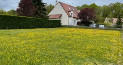 Lardy Terrain à bâtir - 2085912-10885annonce120250220vRWoA.jpeg Maisons France Confort