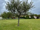 Terrain à bâtir à Marolles-en-Hurepoix (91630) 2089031-10885annonce120250224QJGlX.jpeg Maisons France Confort