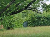Maison à construire à La Ferté-Alais (91590) 2086564-10885annonce1202502211K0fG.jpeg Maisons France Confort