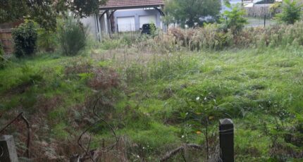 Gujan-Mestras Terrain à bâtir - 2144443-11151annonce120241203vBeWz.jpeg Maisons France Confort