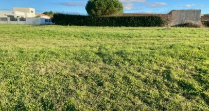 Saint-Palais-sur-Mer Maison neuve - 2144437-11163annonce120250429BPyuy.jpeg Maisons France Confort