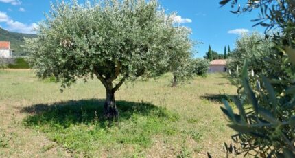 Aups Maison neuve - 2144909-11157annonce4202504309alsX.jpeg Maisons France Confort