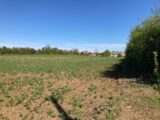 Terrain à bâtir à Champagnolles (17240) 2144970-1046annonce120240325ud0yb.jpeg Maisons France Confort