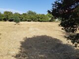 Maison à construire à Matha (17160) 2144983-1046annonce120240930z9pEt.jpeg Maisons France Confort